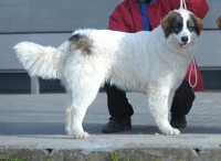 /album/fotogalerie-electra-boss-tor/dsc-5500-2-jpg1/